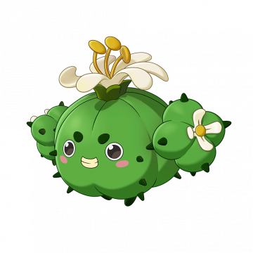 蹦蹦草（象牙球形态）